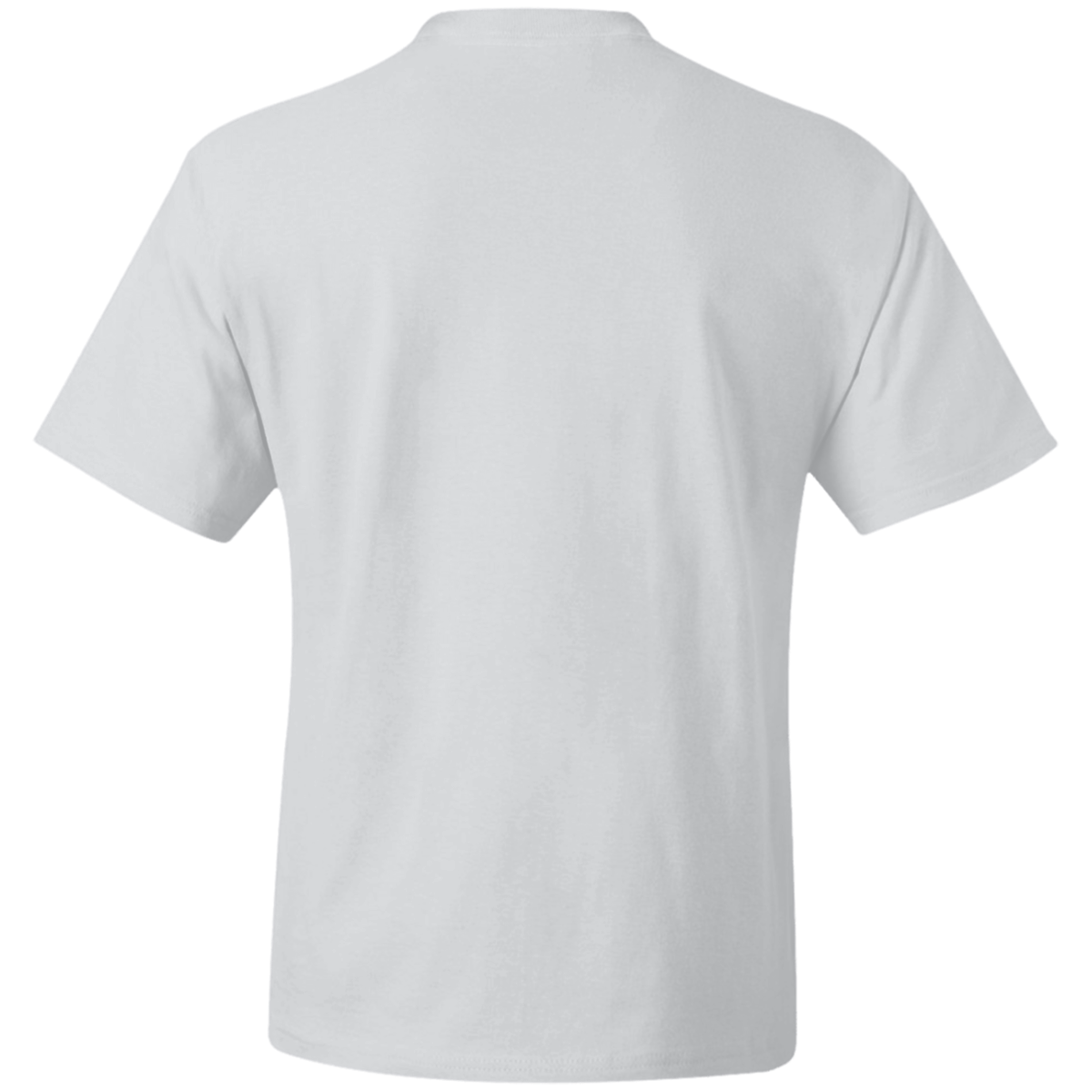5180 Hanes Beefy T-Shirt (copy)